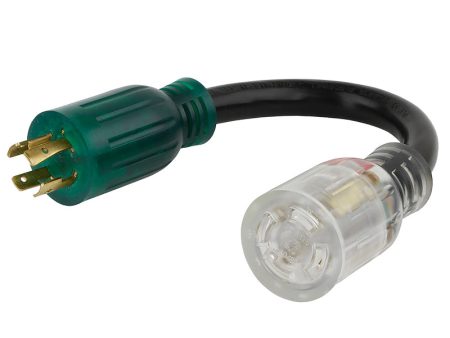 Reliance Controls Color Connect 12 3 SJTW 120 240 V 12 in. L Adapter Cord Online now