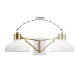 Globe Electric Berkeley 1-Light Polished Brass Wall Sconce Fashion