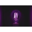 Feit A19 E26 (Medium) Filament LED Bulb Purple 30 Watt Equivalence 1 pk Sale