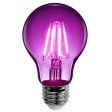 Feit A19 E26 (Medium) Filament LED Bulb Purple 30 Watt Equivalence 1 pk Sale